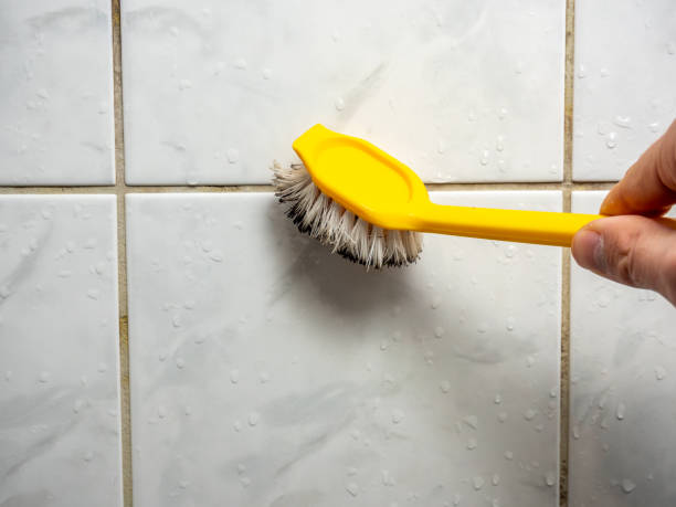 Best Basement Mold Remediation in Aldine, TX