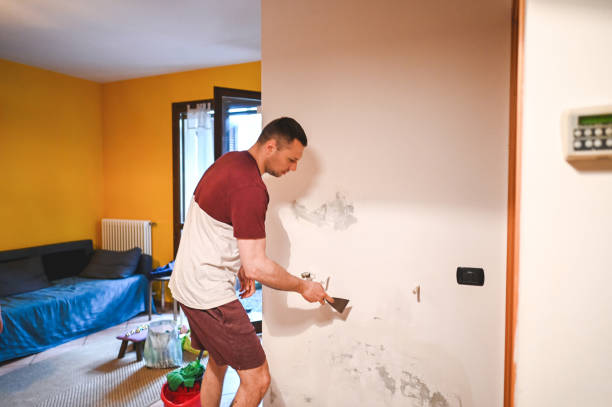 Best Residential Mold Remediation in Aldine, TX