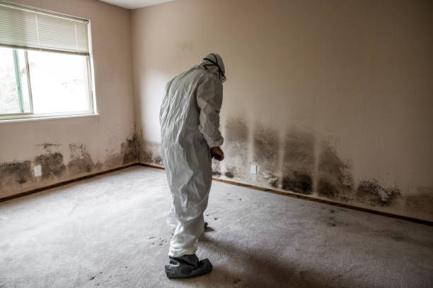 Aldine, TX Mold Remediation Company